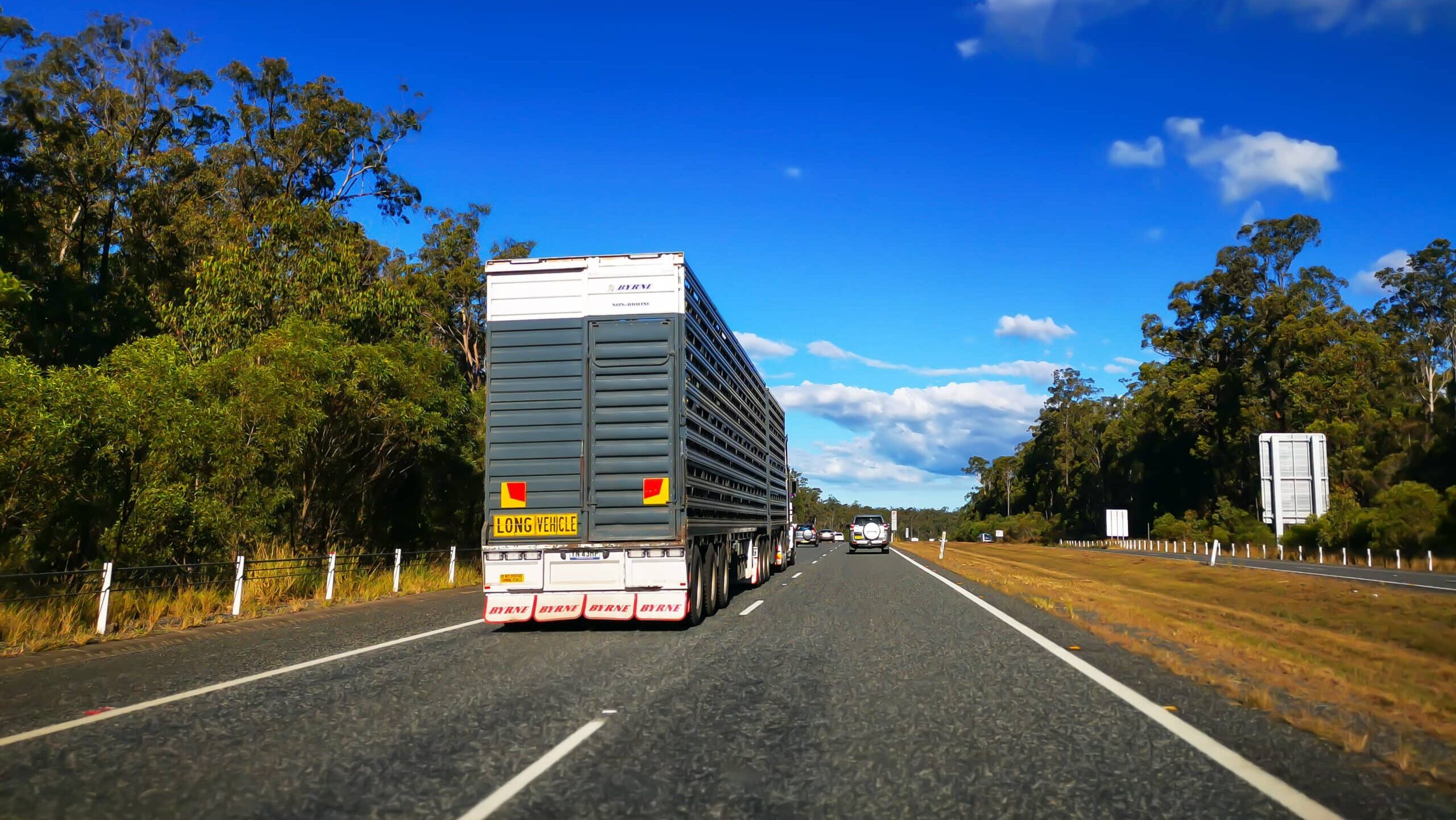 The Australian Government has already invested more than $41 million across 169 HVSI projects. Image: Adobe Stock/IKT224