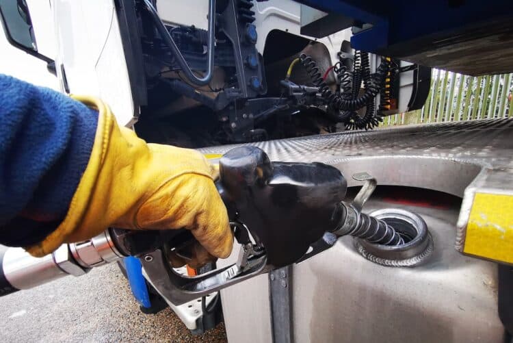 Image: Stephen Dewhurst/stock.adobe.com