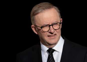 Image: Wirestock Creators/stock.adobe.com