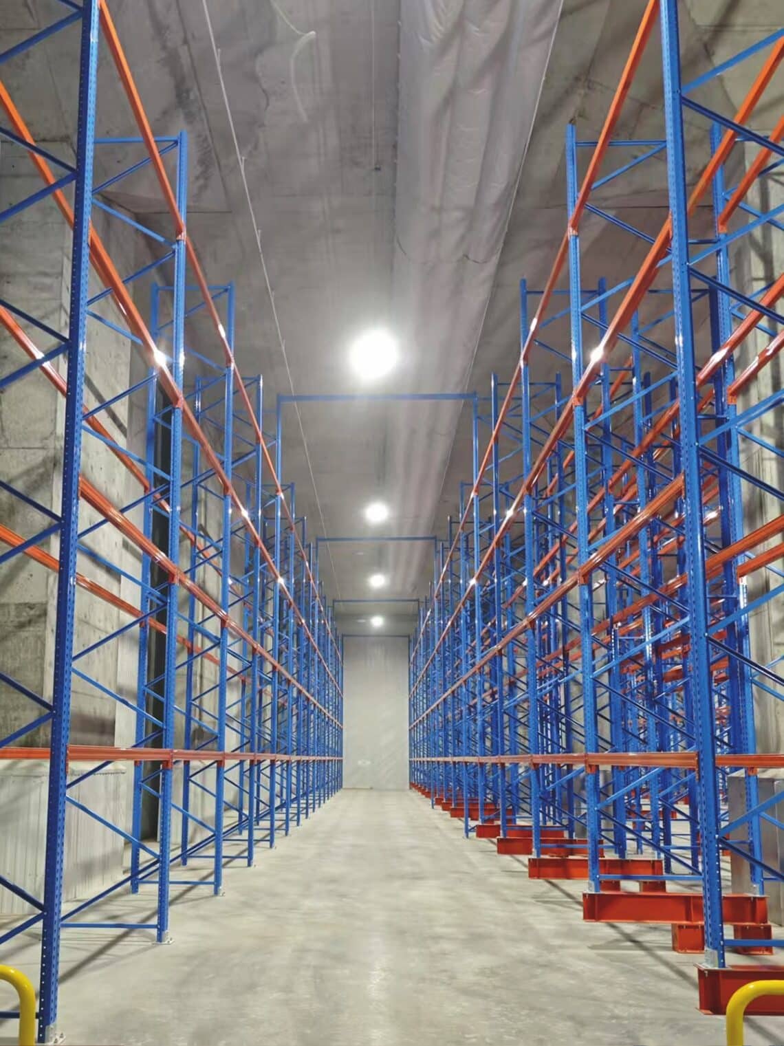 BHD Storage Solutions sharpens focus on automated cold chain - MHD